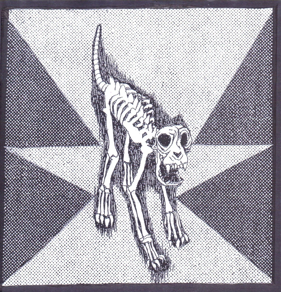 Split Tape